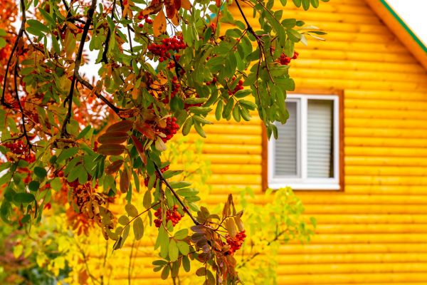 Garden Window Replacement in Wimberley
